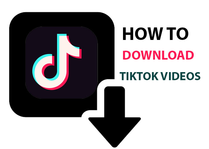 How to Download Titok Videos - Visualvast